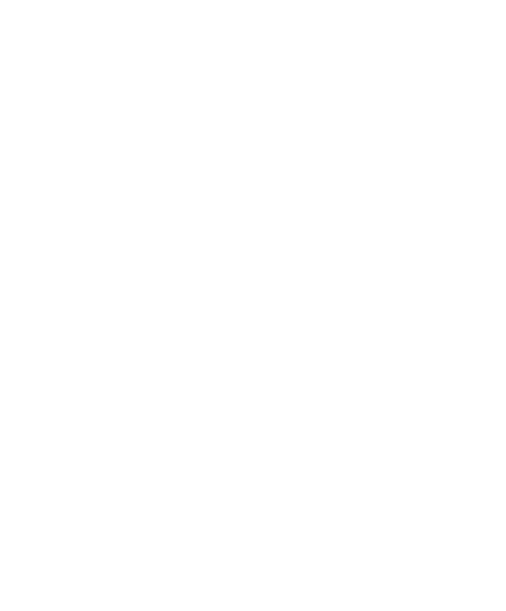 PoraStudio Logo